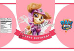 Paw Patrol 2
